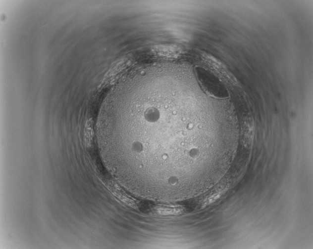 X0000060760707200511141231