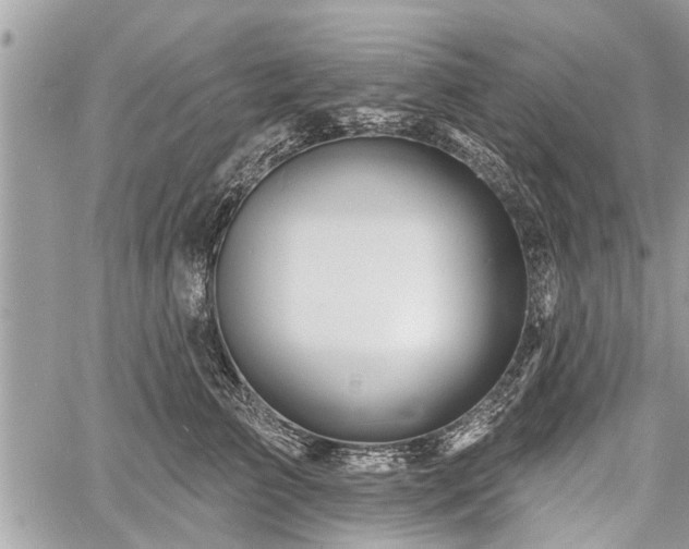 X0000060760709200511141231