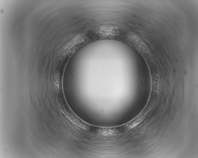 X0000060760710200511141231