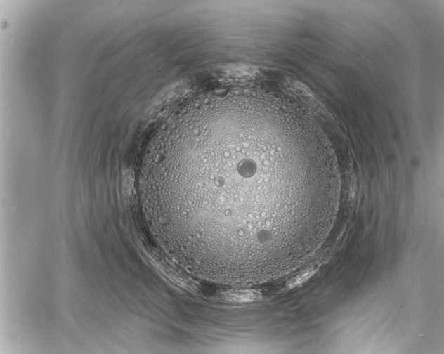 X0000060760711200511141231