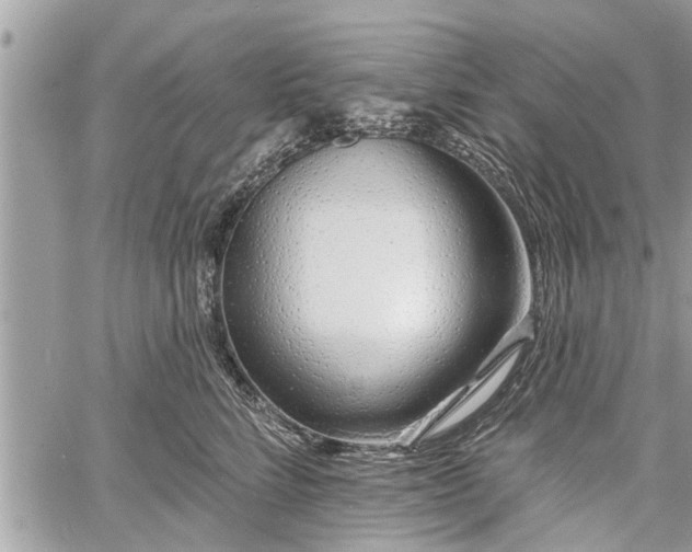 X0000060760712200511141231