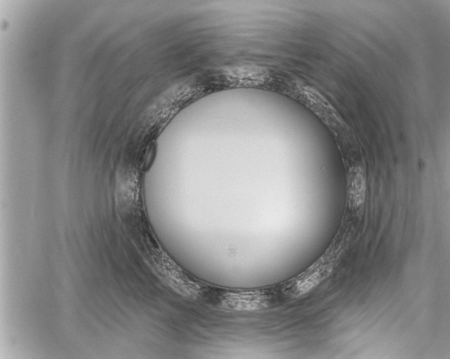 X0000060760713200511141231