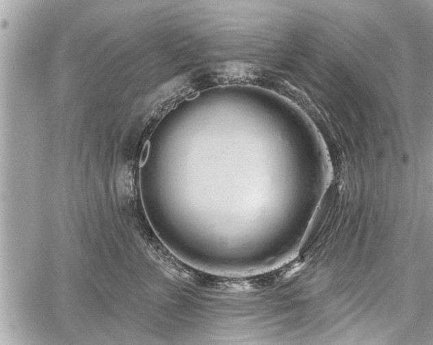 X0000060760715200511141231