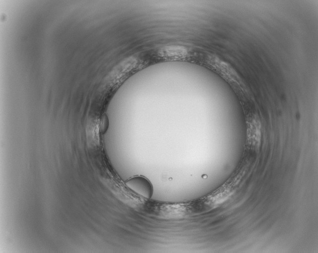 X0000060760717200511141231