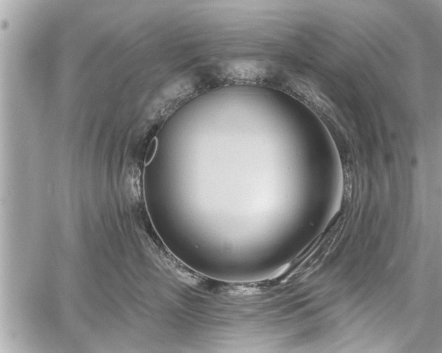 X0000060760718200511141231