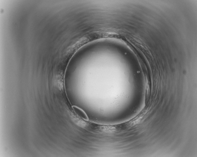 X0000060760719200511141231