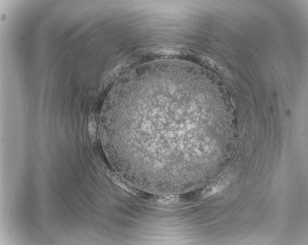 X0000060760720200511141231