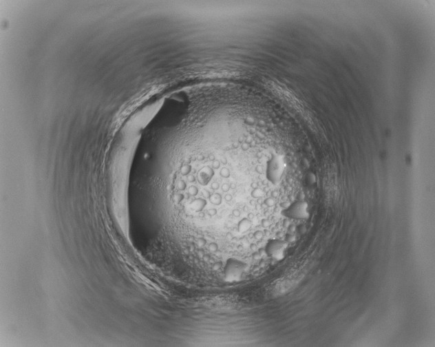 X0000060760721200511141230