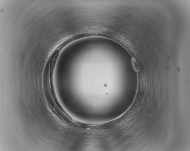 X0000060760722200511141230