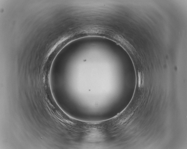 X0000060760723200511141230