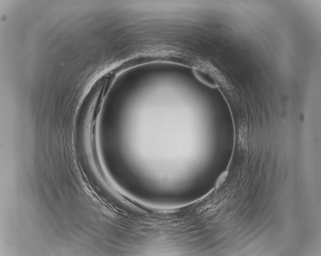 X0000060760724200511141230