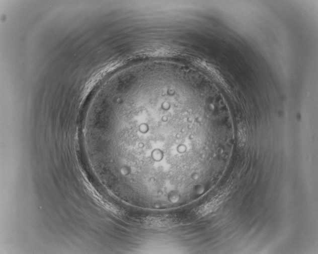 X0000060760725200511141230