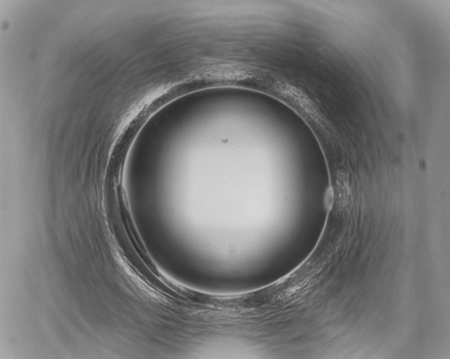 X0000060760726200511141230