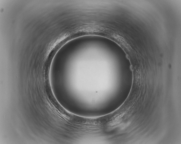 X0000060760727200511141230