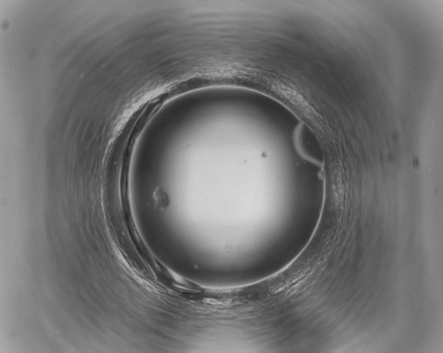 X0000060760728200511141230