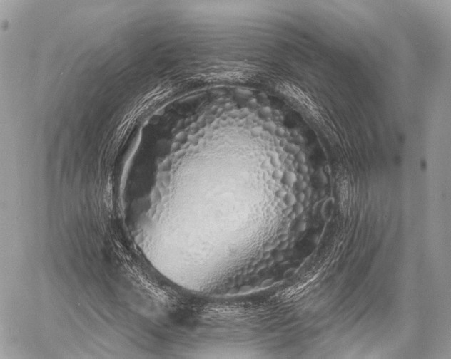 X0000060760729200511141230