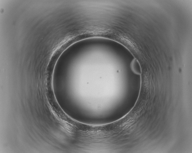 X0000060760730200511141230