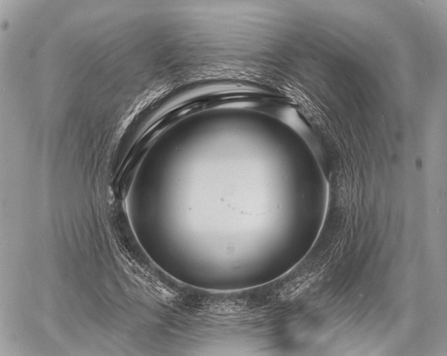 X0000060760731200511141230