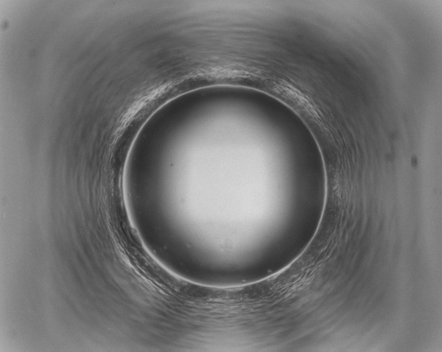 X0000060760732200511141230