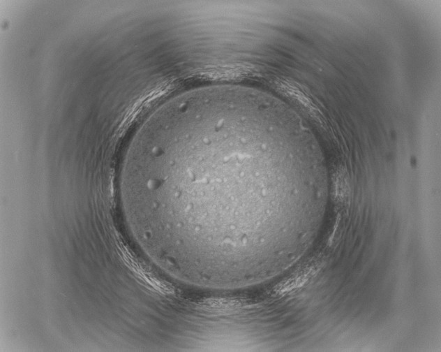 X0000060760733200511141230