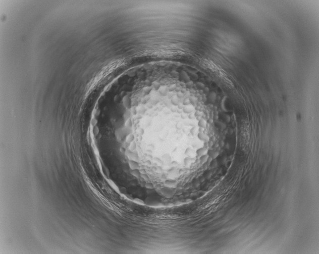 X0000060760734200511141230