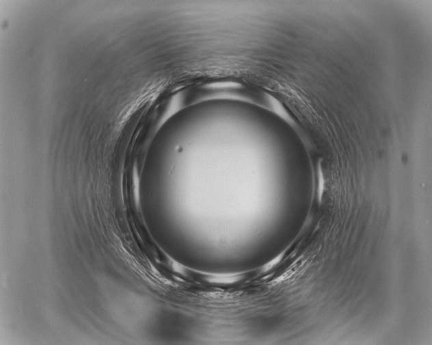 X0000060760735200511141230