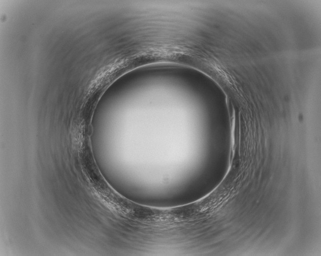 X0000060760736200511141230