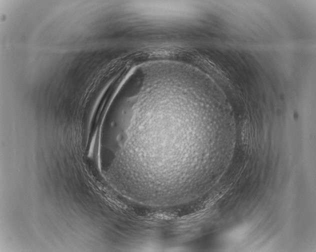 X0000060760737200511141230