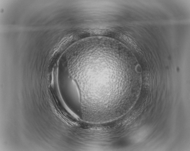 X0000060760738200511141230