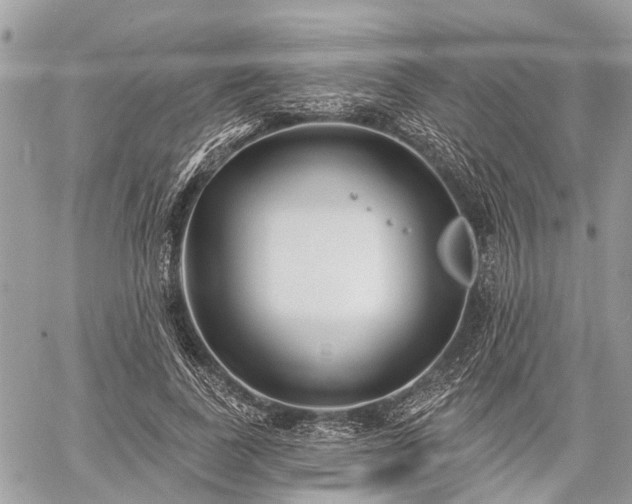 X0000060760739200511141230