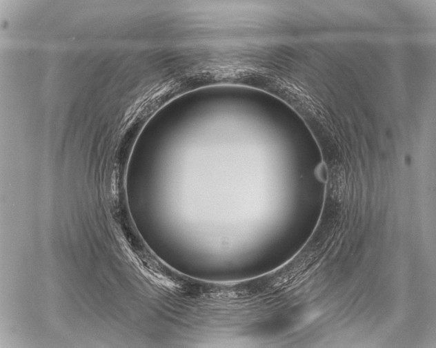 X0000060760740200511141230