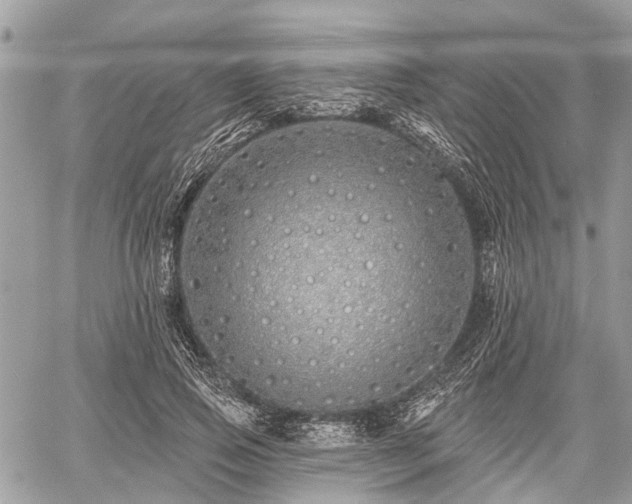 X0000060760741200511141230