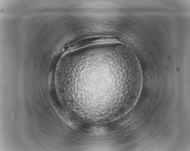 X0000060760742200511141230