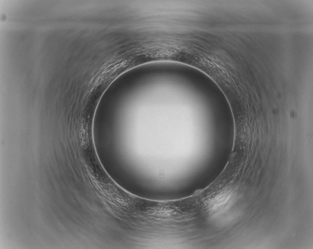 X0000060760743200511141230