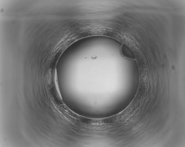 X0000060760744200511141231