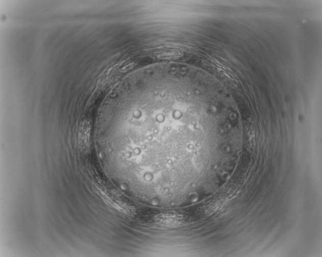 X0000060760745200511141231