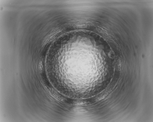 X0000060760746200511141231