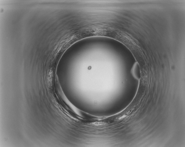 X0000060760748200511141231