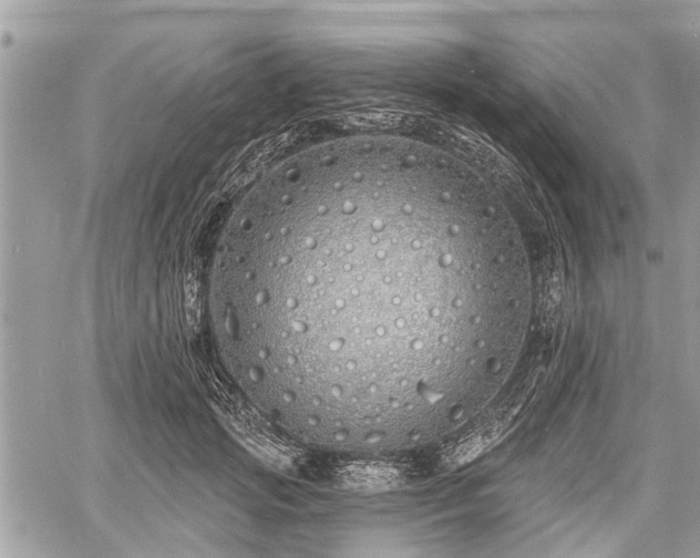 X0000060760749200511141231