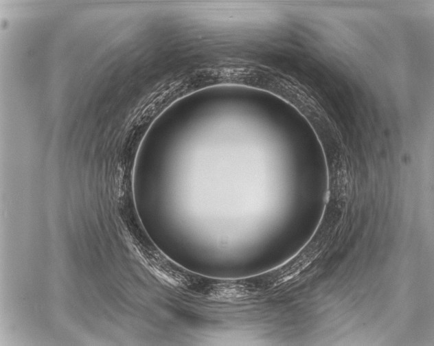 X0000060760750200511141231