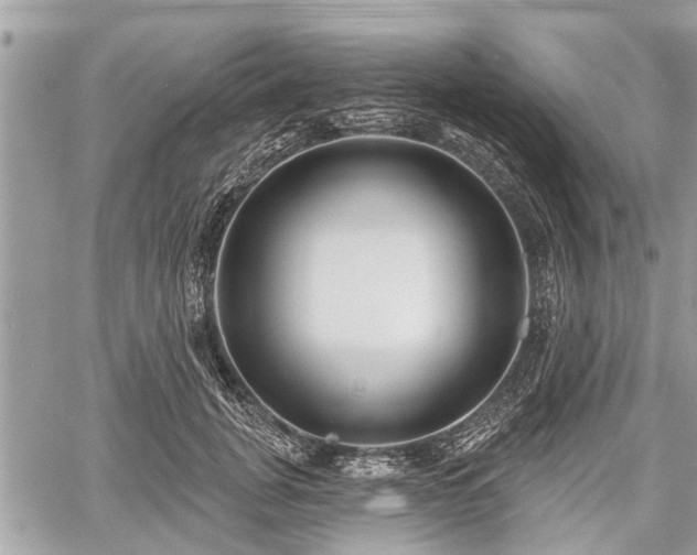 X0000060760751200511141231