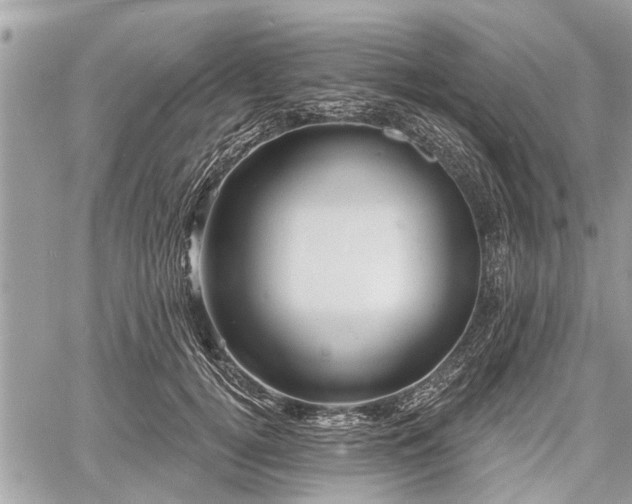 X0000060760752200511141231