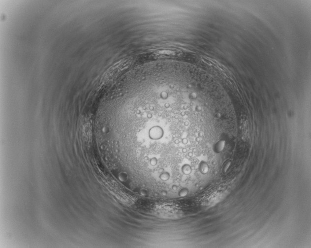 X0000060760753200511141231