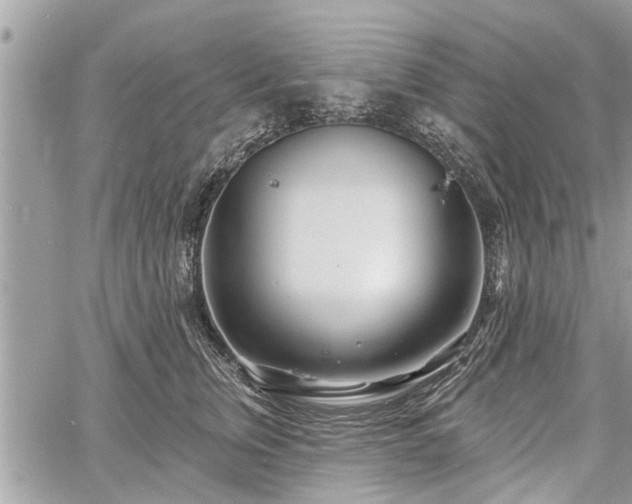 X0000060760759200511141231