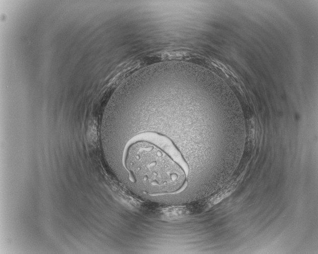 X0000060760761200511141231