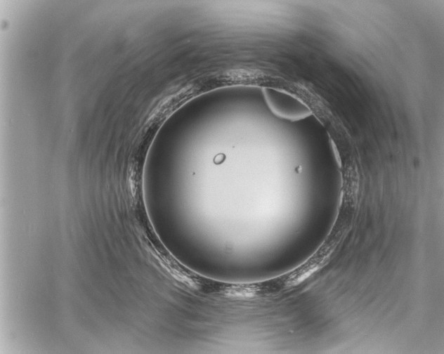 X0000060760762200511141231