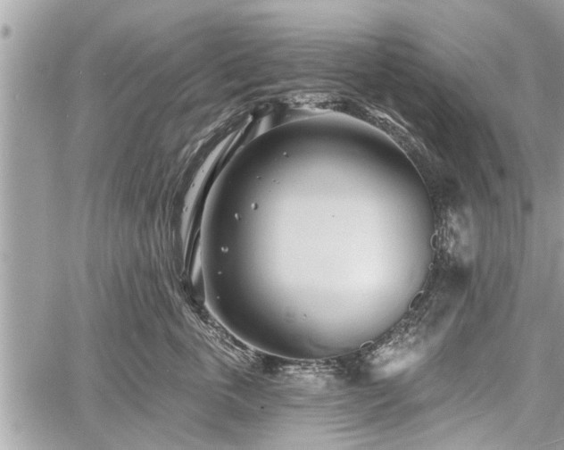 X0000060760763200511141231