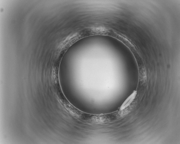 X0000060760764200511141231