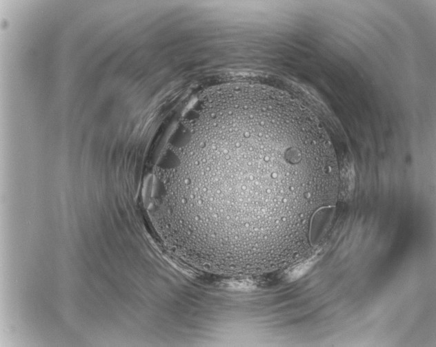 X0000060760765200511141231