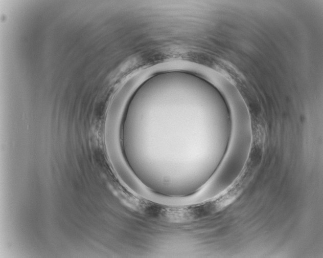 X0000060760766200511141231